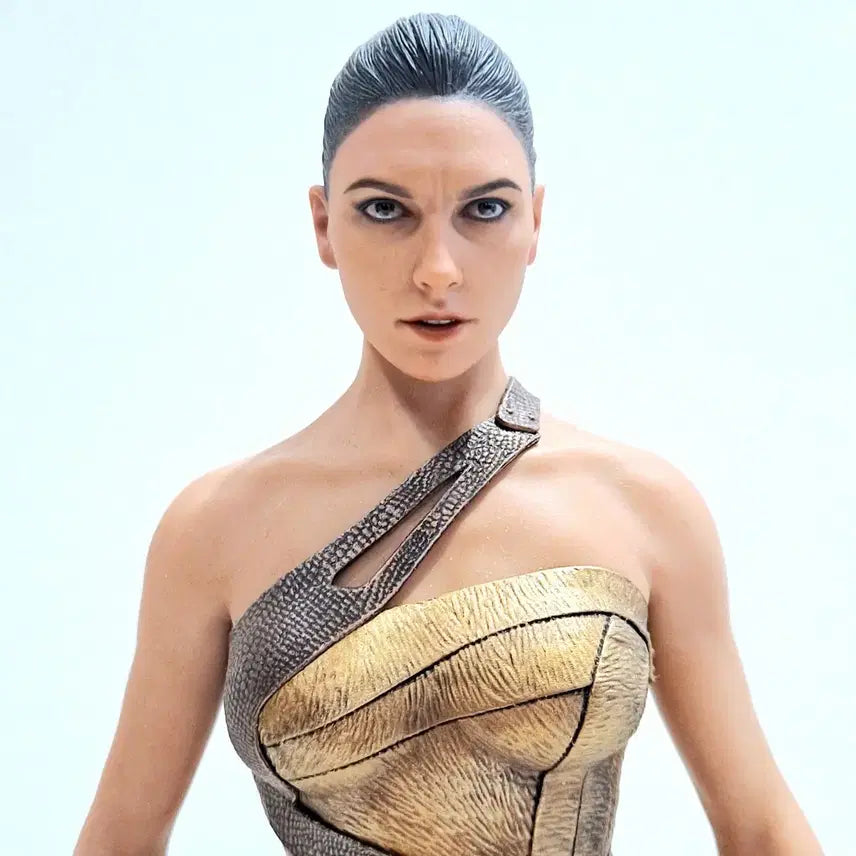 [BUNJANG] Hot Toys MMS424 Wonder Woman Training Armor / 핫토이 MMS424 원더우먼 트레이닝 아머