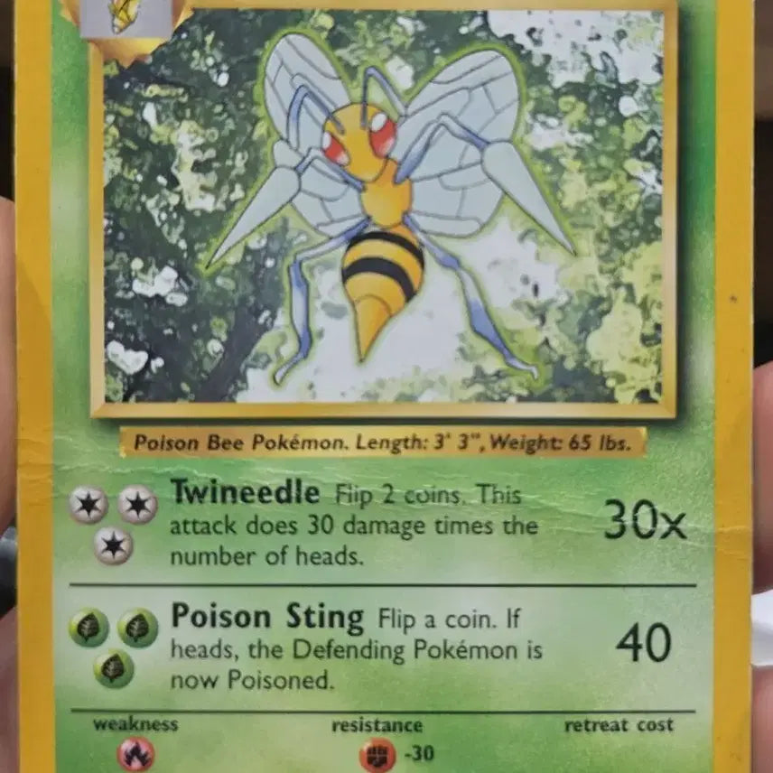 [BUNJANG] Pokemon Beedrill Card (Folded) / (포켓몬) 꿀 모으다가 지쳐서 반접힌 독침붕 카드