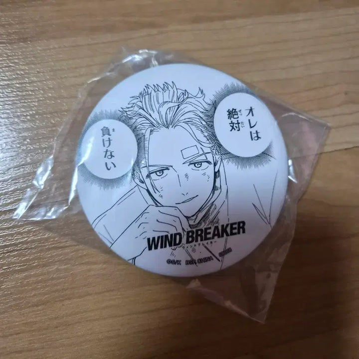 [BUNJANG] Wind Breaker Umemiya Metal Badge / 윈브레 윈드브레이커 우메미야 캔뱃지