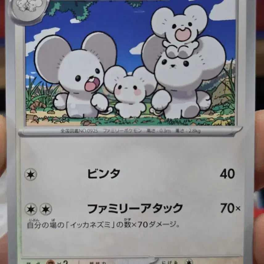 [BUNJANG] Mickey Mouse Inspired Mouse Character Card Set (3 Cards) / (포켓몬) 총3장 미키마우스 뺨칠정도로 귀여운 쥐가 총 10마리카드ㄷㄷ;;;