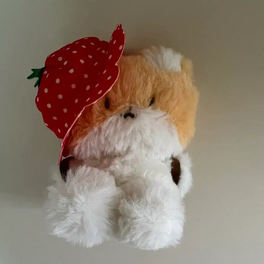 [BUNJANG] Baekhyun Strawberry Plush Doll / 백현 딸기 터래기 인형