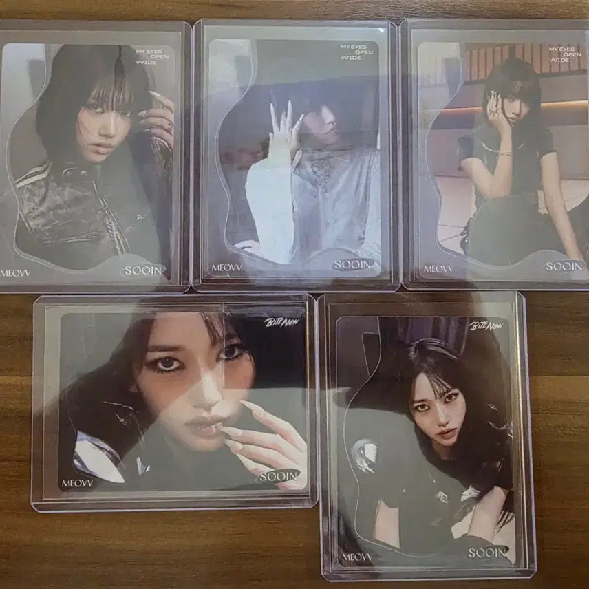[BUNJANG] 2026 Tereka Miyayo Collection - Beast-type Card Set / 2026 테레카 미야오 컬렉션 카드 수인 카드 모음
