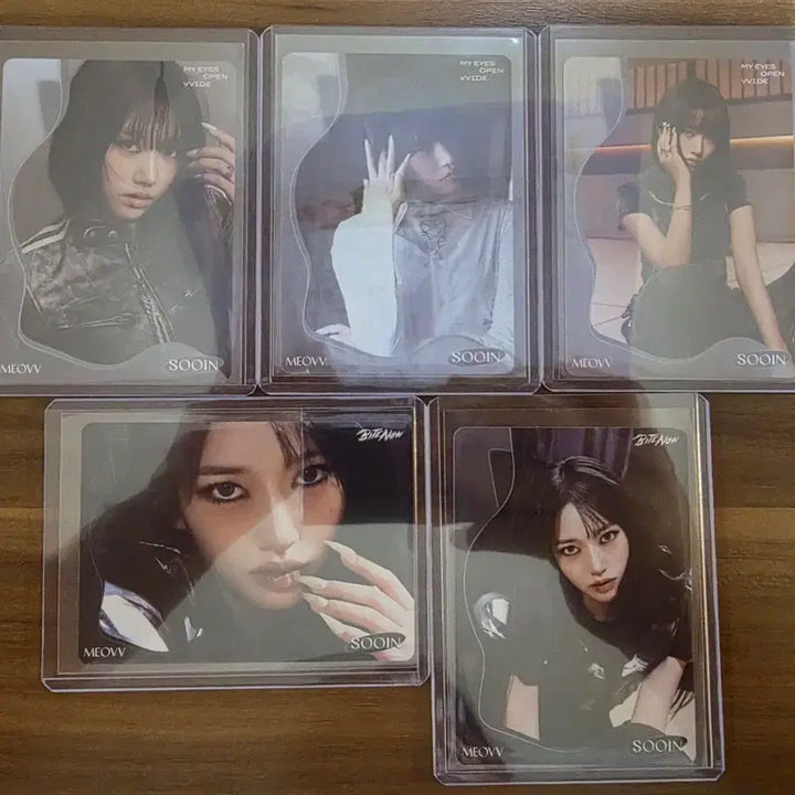 [BUNJANG] 2026 Tereka Miyayo Collection - Beast-type Card Set / 2026 테레카 미야오 컬렉션 카드 수인 카드 일괄