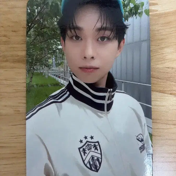 [BUNJANG] Lucy Seon Music Fair Sangyeop Photocard / 루시 선 음감회 상엽 포카