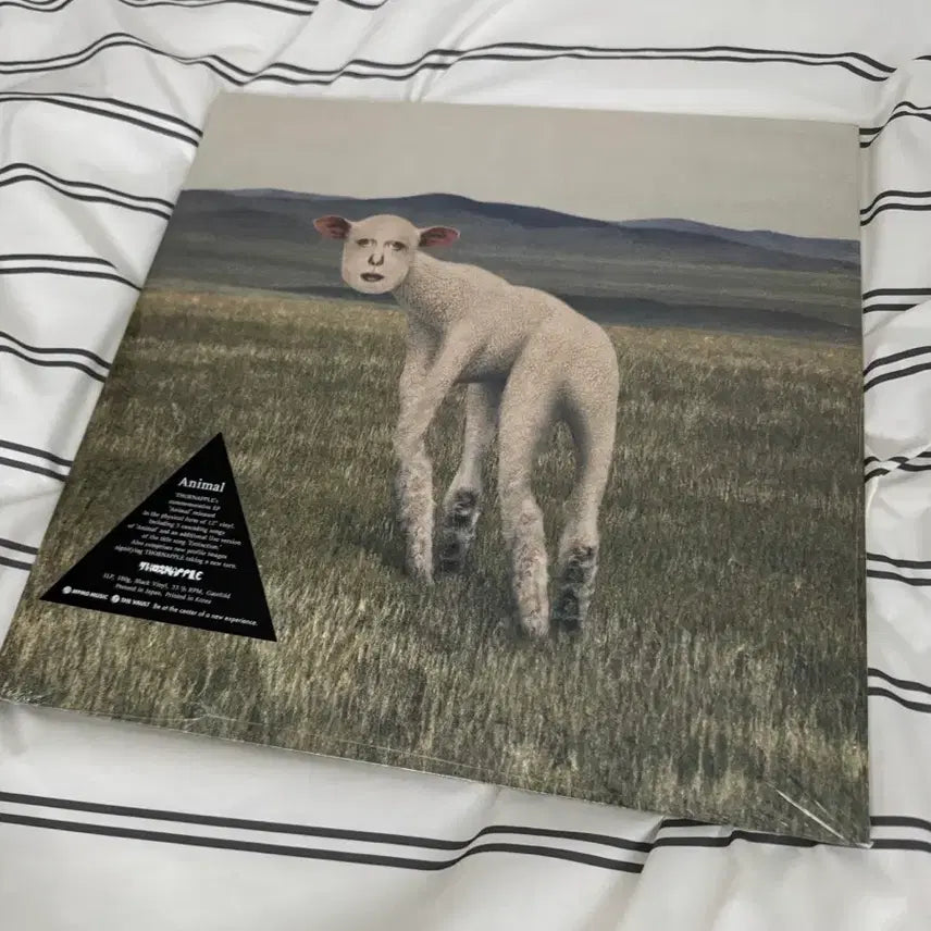 [BUNJANG] Thornapple EP Animal LP Sealed / 쏜애플 EP 동물 LP 미개봉