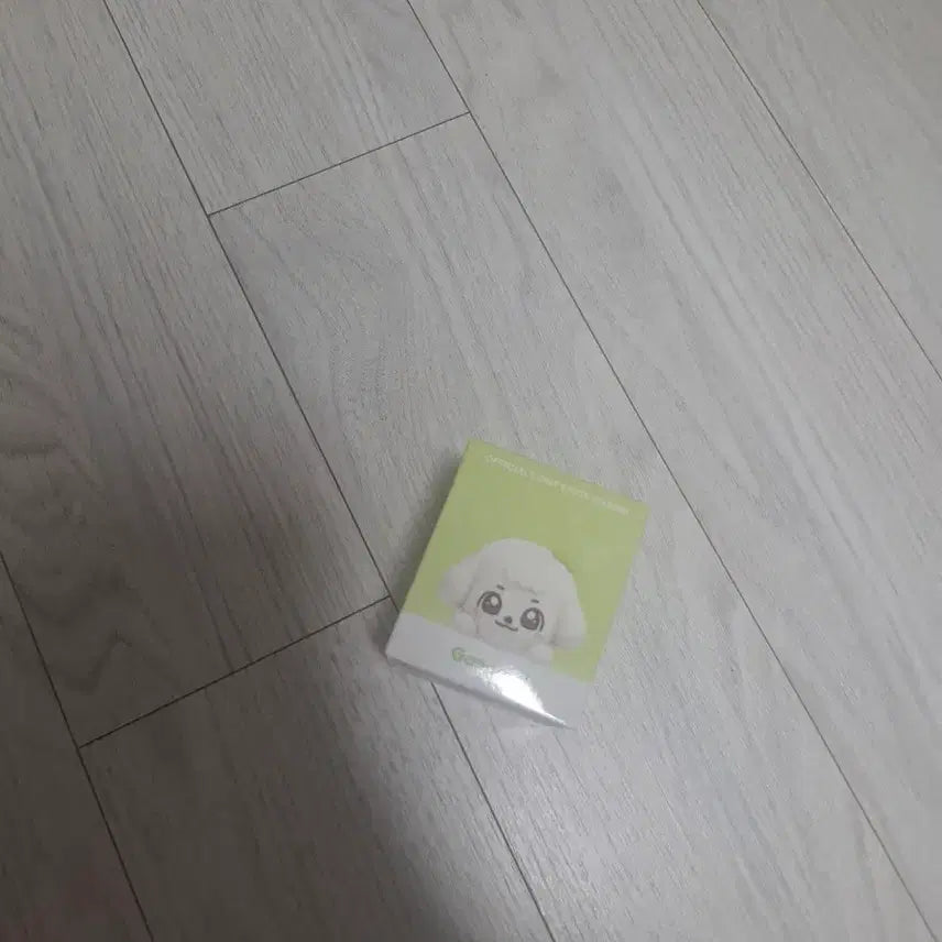 [BUNJANG] IVE MiniV POPUP Kang Anji Photocard / 아이브 미니브 응원봉 강안지