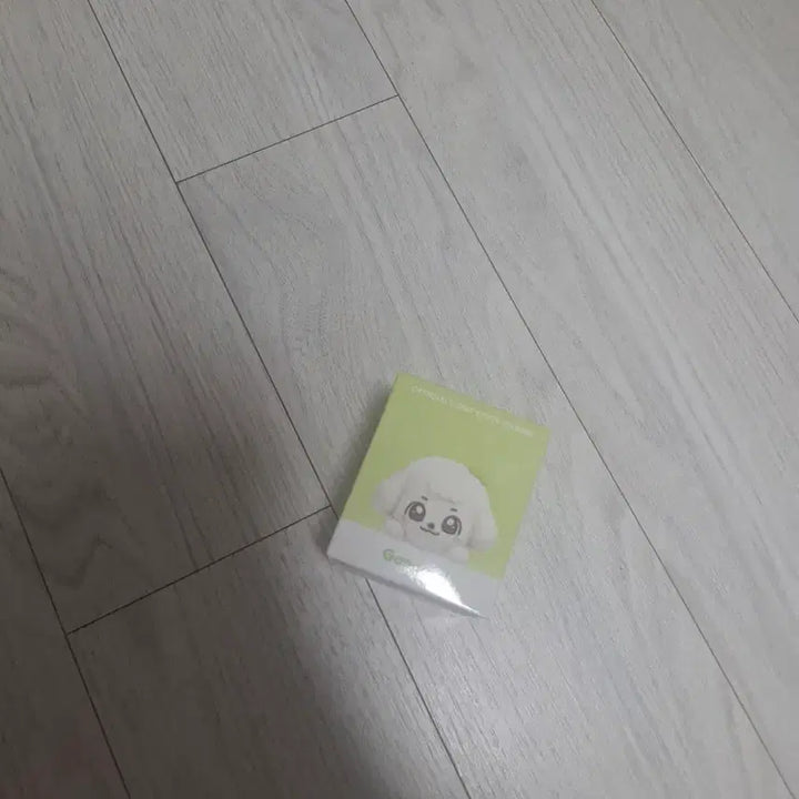 [BUNJANG] IVE MiniV POPUP Kang Anji Photocard / 아이브 미니브 응원봉 강안지
