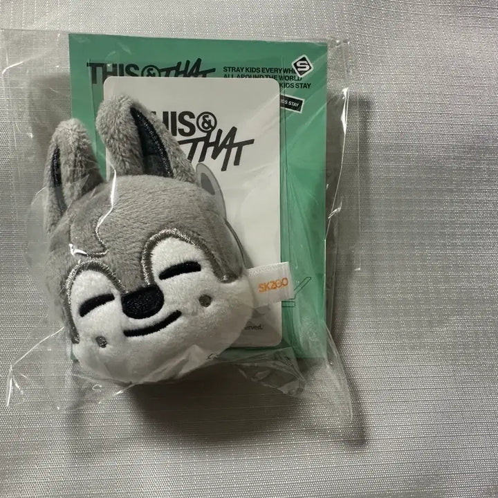 [BUNJANG] Stray Kids Hyunjin Magnetic Holder with Photocard / (미개봉 새상품) 울프찬 홀더 포카포함