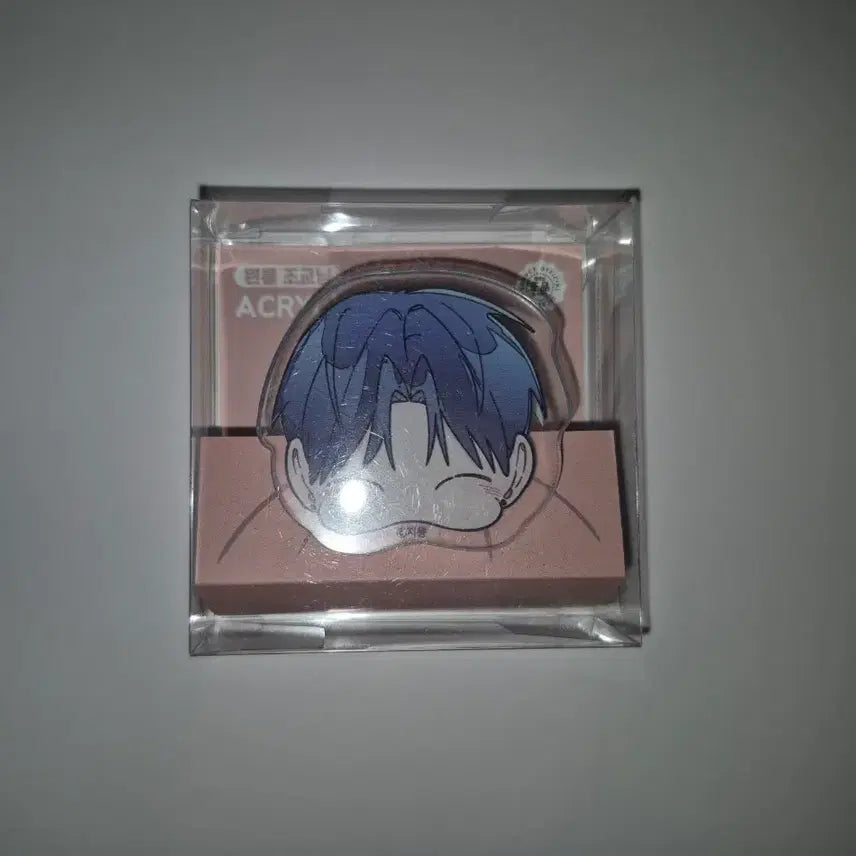 [BUNJANG] Wonroom Jogyonim Acrylic Clip Set / 원룸조교님 아크릴 집게 아크릴 클립