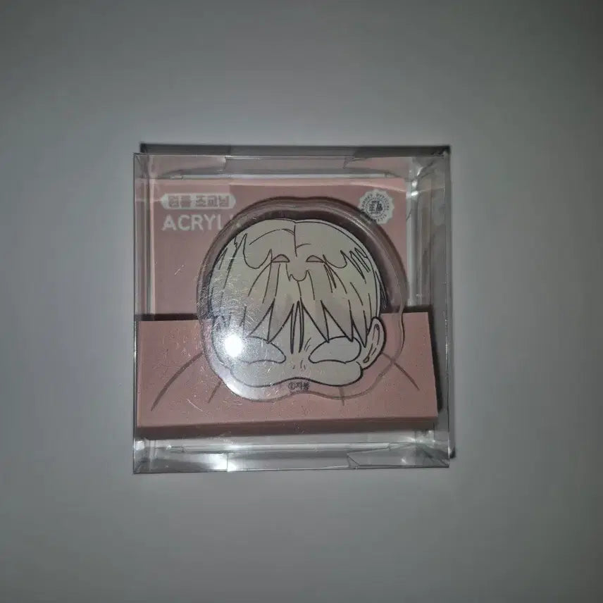 [BUNJANG] Wonroom Jogyonim Acrylic Clip Set / 원룸조교님 아크릴 집게 아크릴 클립