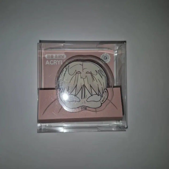 [BUNJANG] Wonroom Jogyonim Acrylic Clip Set / 원룸조교님 아크릴 집게 아크릴 클립