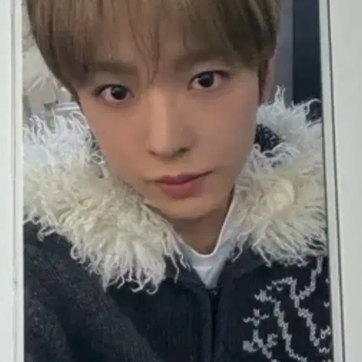 [BUNJANG] NCT WISH Wishini Mini Bubble Nyan Ni Yuushi Photocard / 요이돈앨범, 컵홀더 덤)) 유우시 포카