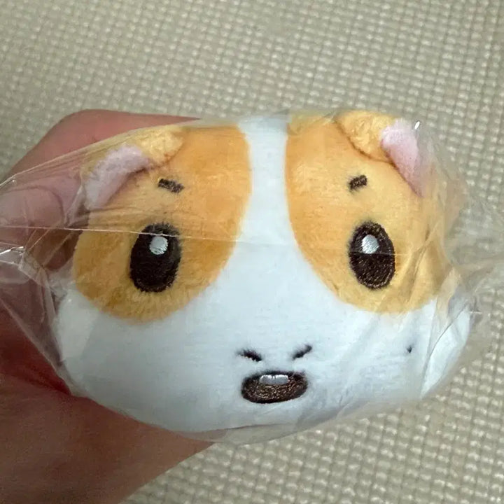 [BUNJANG] TWS Youngjae Doll Choonning / 투어스 영재 인형 춘기닝