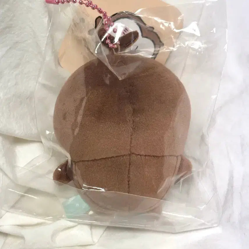 [BUNJANG] Chiikawa Beetle Mascot Doll Keychain / [새상품/신상] 먼작귀 치이카와 풍뎅이 마스코트 인형 키링