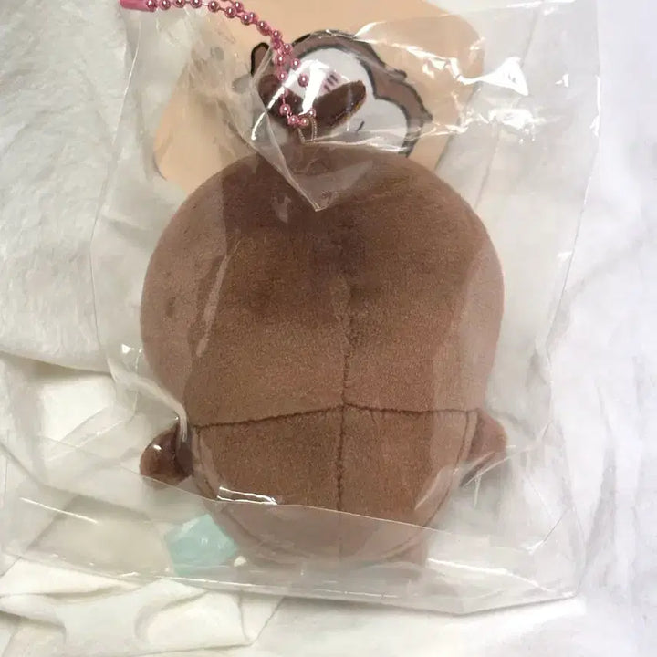 [BUNJANG] Chiikawa Beetle Mascot Doll Keychain / [새상품/신상] 먼작귀 치이카와 풍뎅이 마스코트 인형 키링