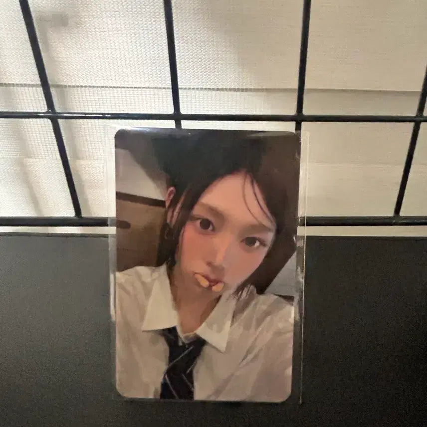 [BUNJANG] TWICE Mina Lisence Pluschat Shrimp Cracker POB Photocard / 리센느 플러스챗 새우깡 미공포 미나미