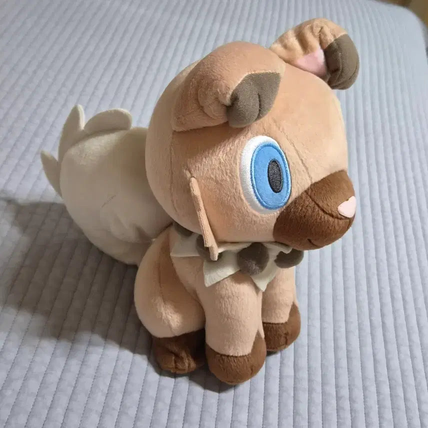 [BUNJANG] Banpresto Pokemon Kubfu Plush Toy / 포켓몬 반프레스토 암멍이 정품 인형