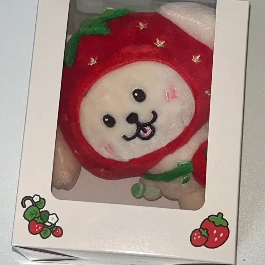[BUNJANG] NCT WISH Wish Berry Bakery Strawberry Wish Doll Daengt / 엔시티위시 위시베리베이커리 일본 팝업 딸기 위시돌 댕트