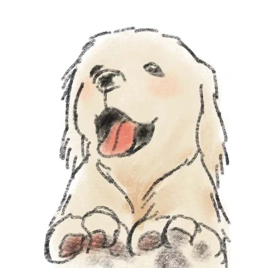 [BUNJANG] Custom Pet Portrait - Oil Pastel Style / 반려동물 그려드려요 오일파스텔느낌!!