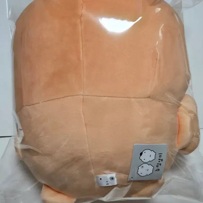 [BUNJANG] Authentic Nunmeongyangyi Nunmeong-i Ppangmeong-i Plush Doll (New) / [새상품] 정품 눈멍냥이 눈멍이 빵멍이 인형