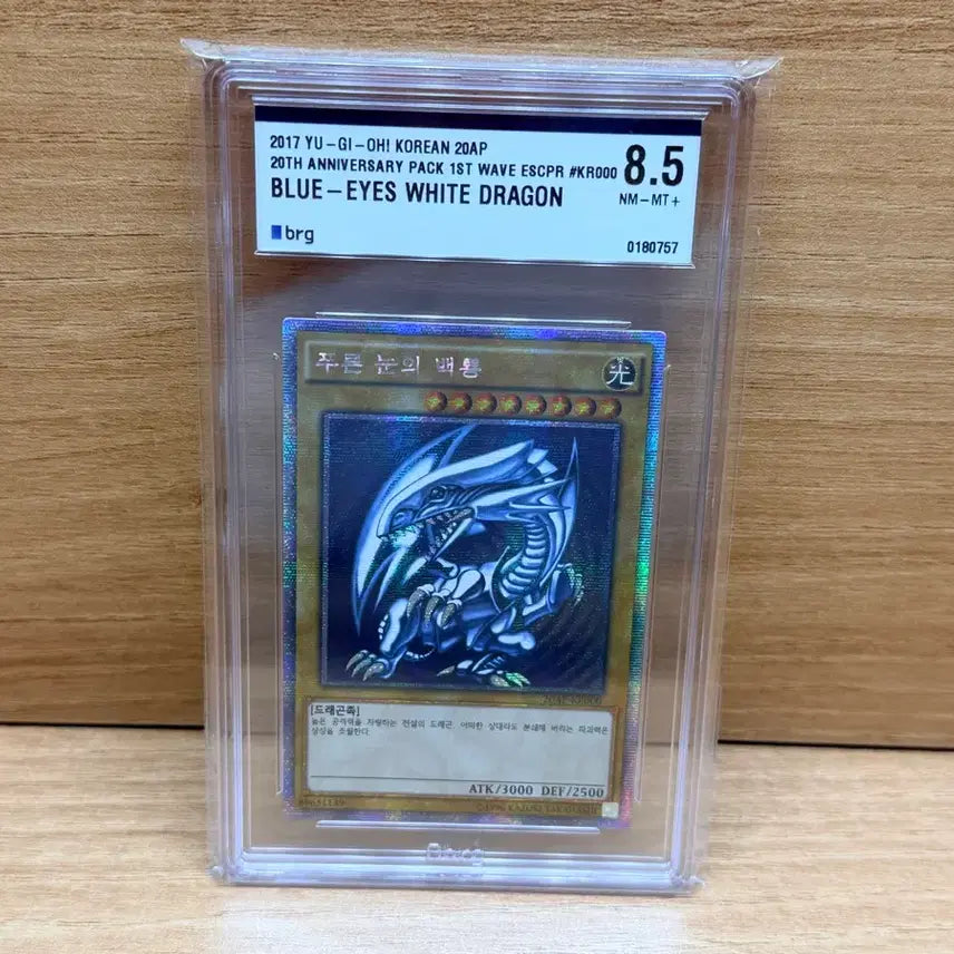 [BUNJANG] Yu-Gi-Oh! Blue-Eyes White Dragon BRG 8.5 / 유희왕카드 푸른 눈의 백룡 brg8.5 팝니다
