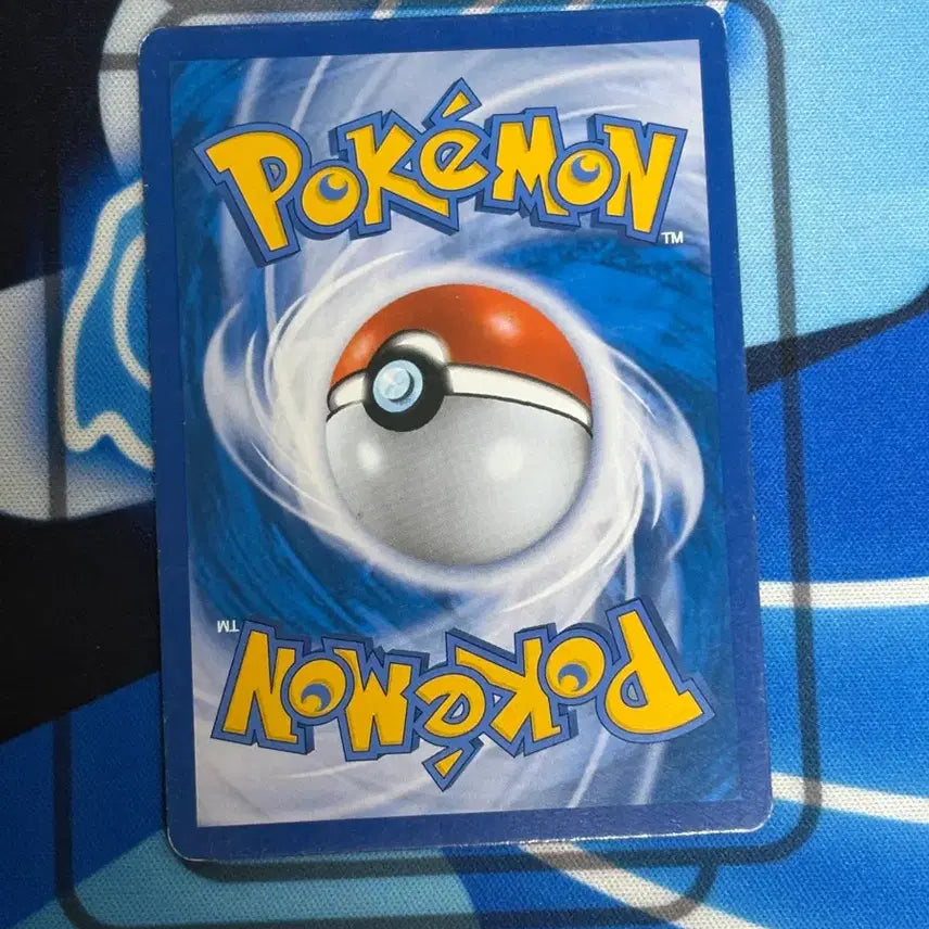 [BUNJANG] Pokemon Card N XY Special Edition / 포켓몬카드 N xy 특일