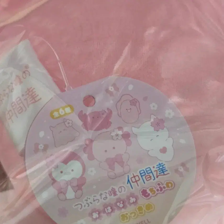 [BUNJANG] Tsuburana Hitomi Cherry Blossom Penguin Plush / [새상품]츠부라나 히토미 벚꽃 펭귄 인형