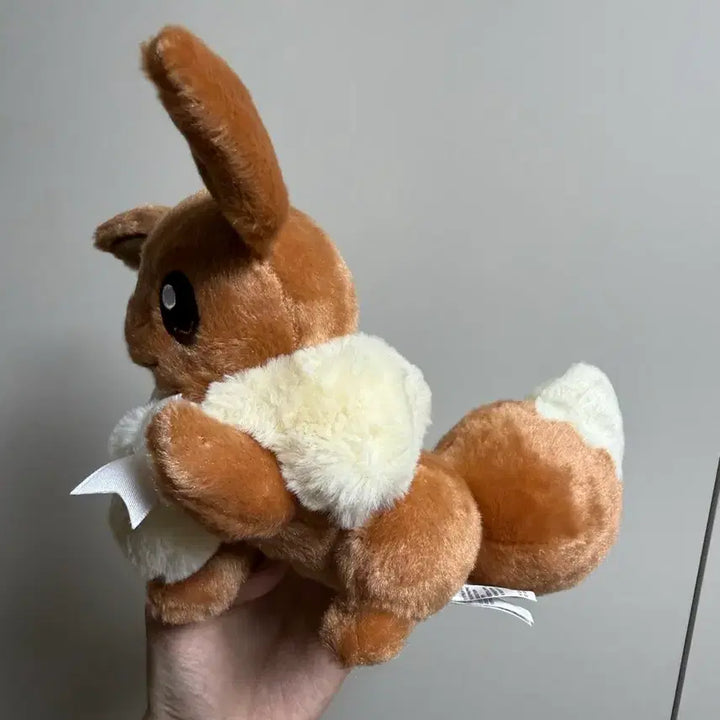 [BUNJANG] Pokemon Eevee Collection Eevee Plush / 포켓몬스터 이브이 컬렉션 이브이 인형
