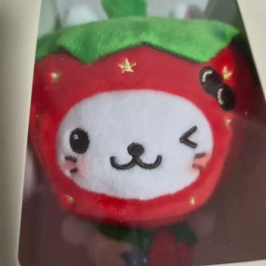 [BUNJANG] NCT WISH Strawberry Wish Doll Bubble Cat / 엔시티위시 딸기 위시돌 버블냥 양도 위시 딸기 베이커리