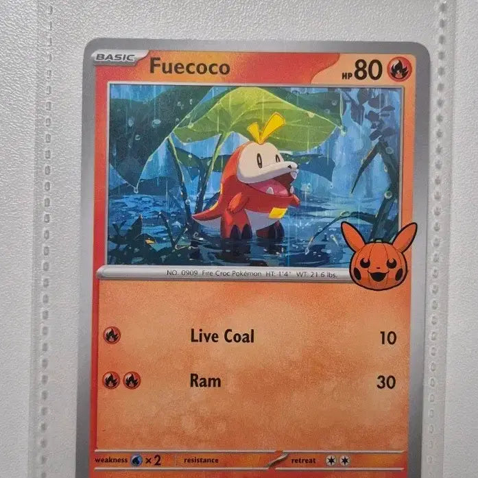 [BUNJANG] Pokemon Card Scraggy Halloween North American Edition (A Grade) / [상태 최상]포켓몬 카드 뜨아거 북미판 (할로윈)