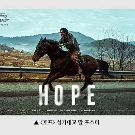 [BUNJANG] HOPE Seung Gi Dae Gyo Photocard Poster / 호프 성기대교 말 포스터
