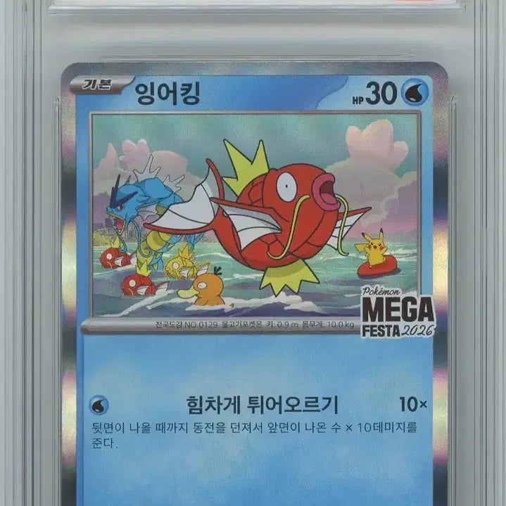[BUNJANG] Pokemon Magikarp Promo Card / Brg9) 잉어킹 프로모 카드