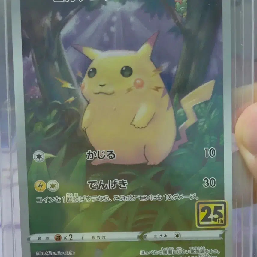 [BUNJANG] Pokemon Pikachu 25th Anniversary Japanese Card (Chubby Pikachu) / 포켓몬 카드 피카츄 25주년 일판 뚱카츄