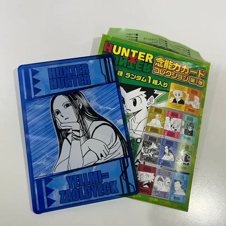 [BUNJANG] Hunter x Hunter Illumi Zoldyck Status Card / 헌터헌터 이르미 스테이터스 카드