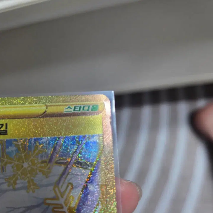[BUNJANG] Pokémon TCG Trainer&