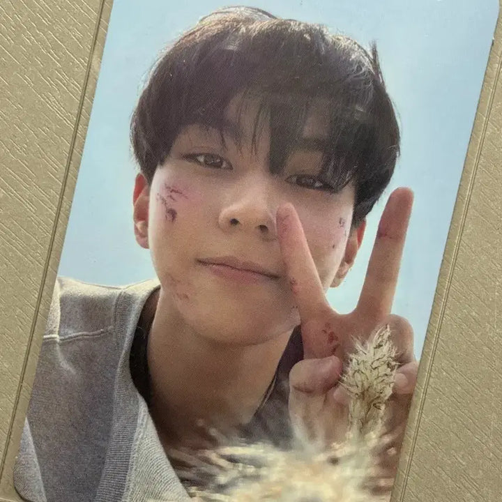 [BUNJANG] ENHYPEN Jungwon Normal Edition Take 2 Photocard / 엔하이픈 정원 일반반 take2 포카
