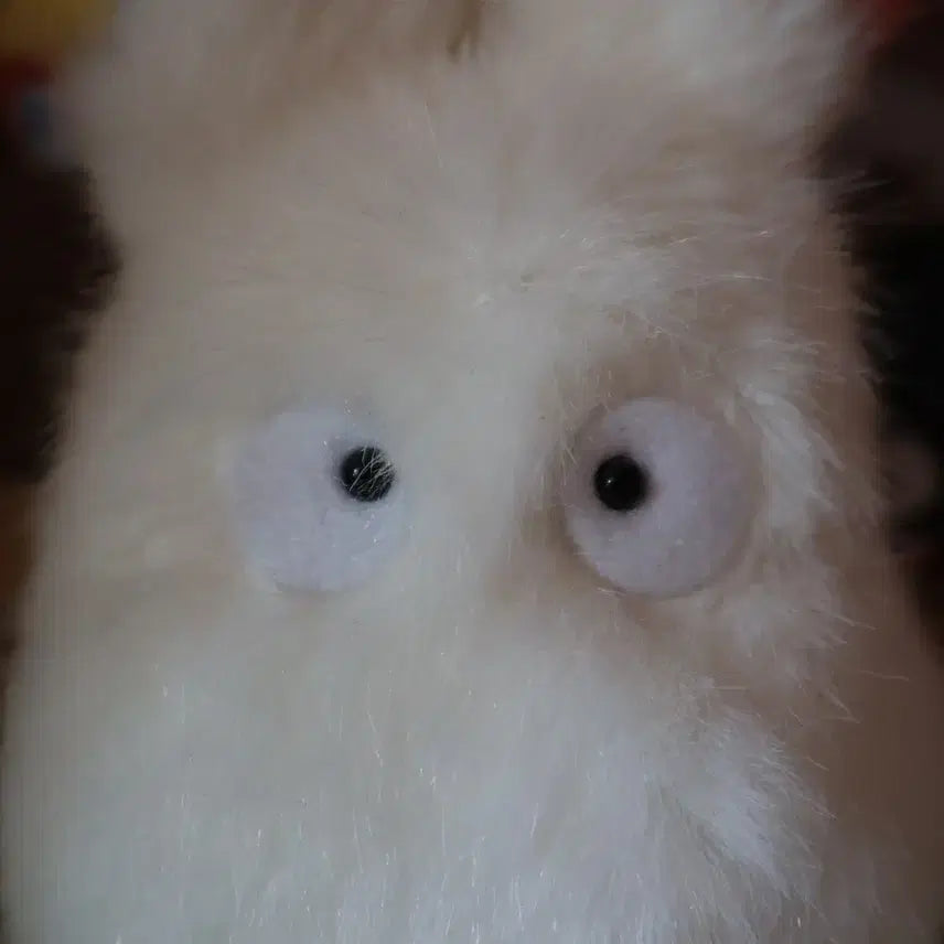 [BUNJANG] Ghibli My Neighbor Totoro Plush / 지브리 소토토로 인형