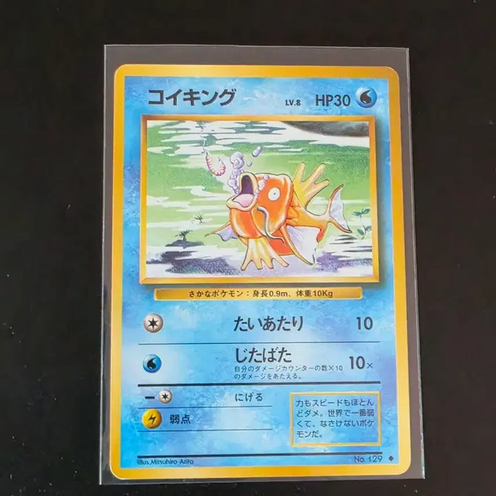 [BUNJANG] Pokemon 1st Edition Magikarp Card / 1st 초판 잉어킹카드