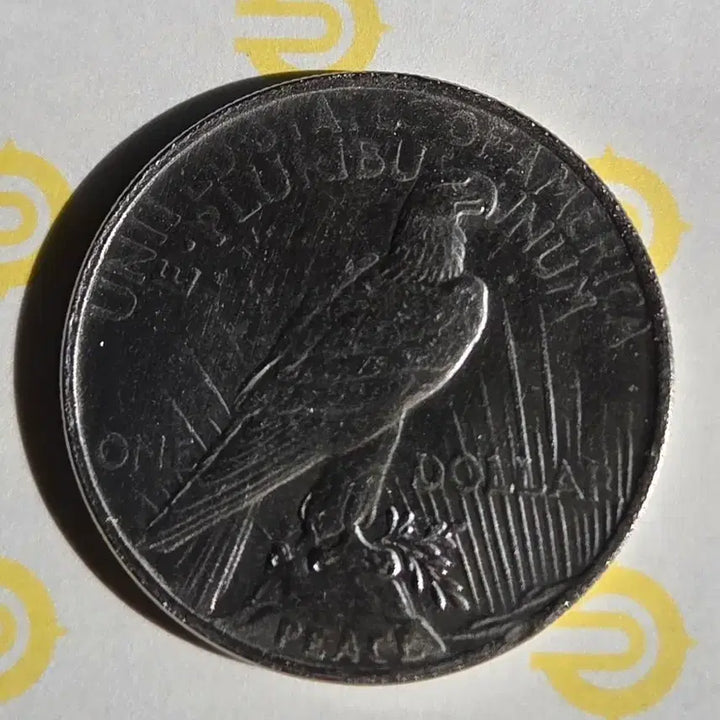 [BUNJANG] 1927 Peace Dollar / 1927년도 미국 평화 1달러