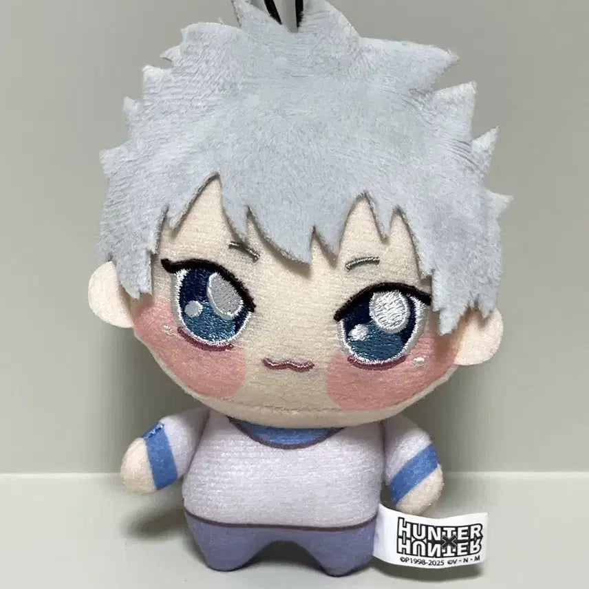 [BUNJANG] Hunter x Hunter Killua Chocoinui Mini Plush / 헌터헌터 키르아 미니 쵸피누이