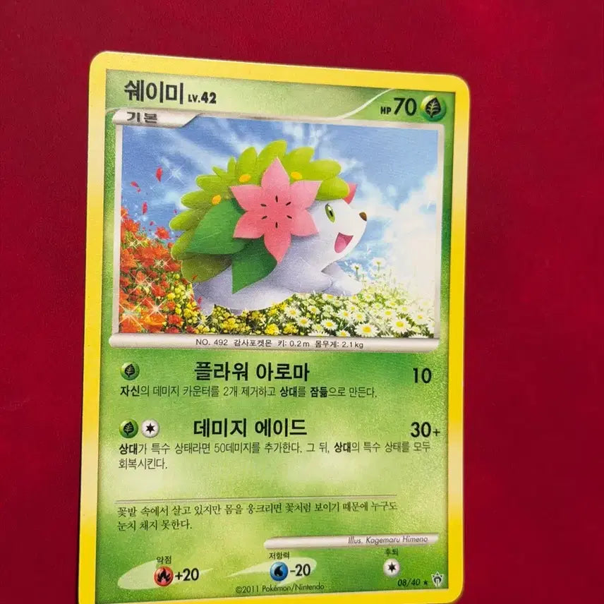 [BUNJANG] Pokemon 2010 DP Shaymin Lv.42 Ancient Card / 포켓몬 고대 카드 2010 DP 쉐이미 Lv.42