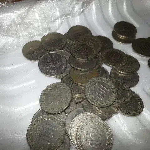 [BUNJANG] 1982 100 Won Coin (30 pcs) / 100원 동전 30개 1982년 중고