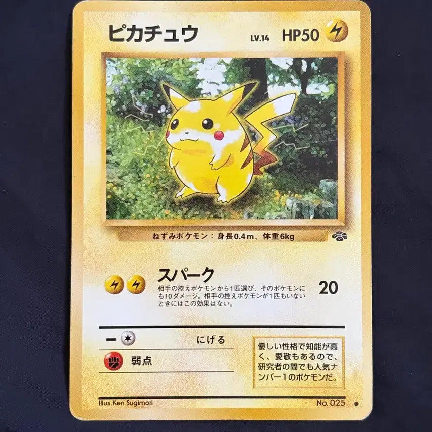 [BUNJANG] Pokemon Card Jungle Set 1st Edition Pikachu Japanese Old Back / 포켓몬카드 1990년대 올드백(초판)정글 피카츄 일판