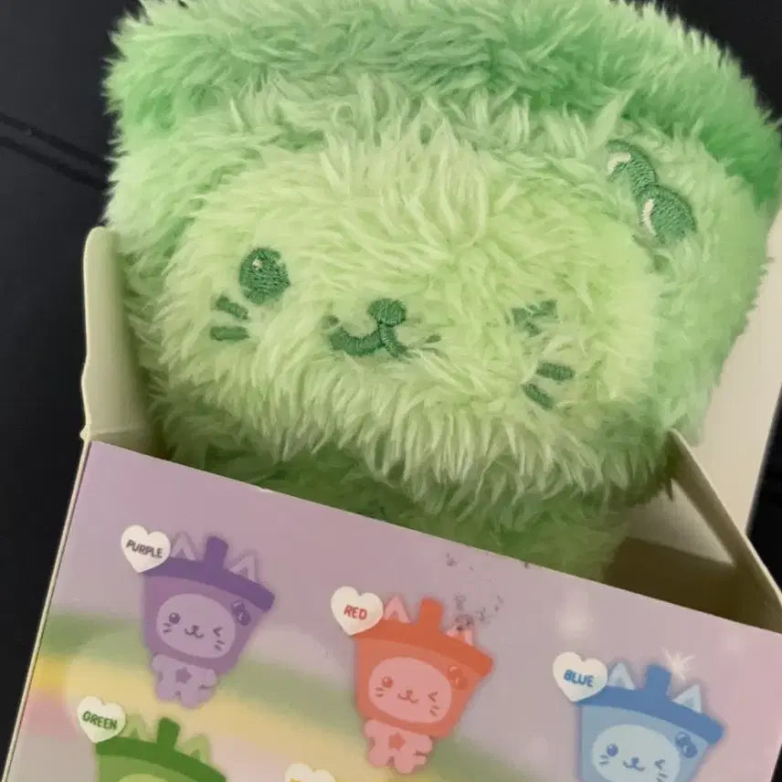 [BUNJANG] NCT WISH Yushi Color Wish Doll Green Bubble Cat / 엔시티위시 컬러 위시돌 유우시 그린 초록 버블냥