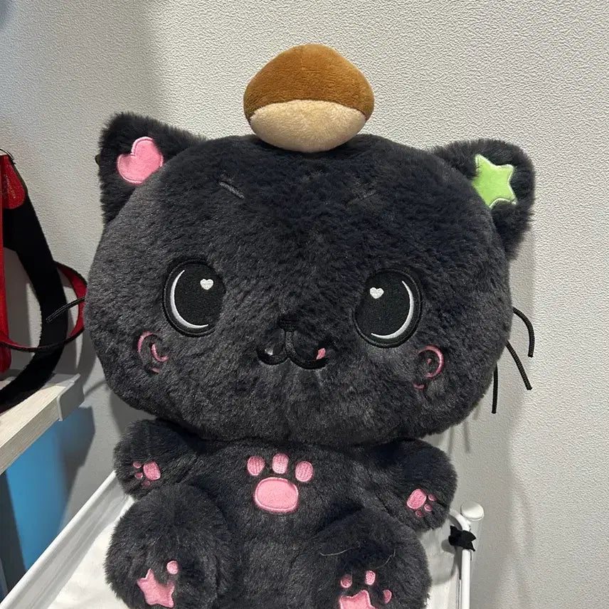 [BUNJANG] 30cm Kuri Doll (Display Item, Unsealed) / 30cm 위시돌 쿠리 (단순개봉 전시상품)