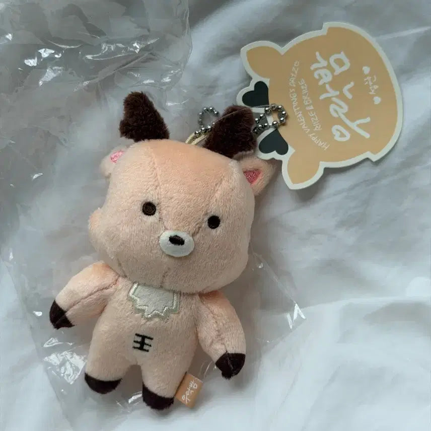 [BUNJANG] RIIZE Sungchan 1st Fanclub Kit ID Card / 라이즈 성찬 1기 우락밤