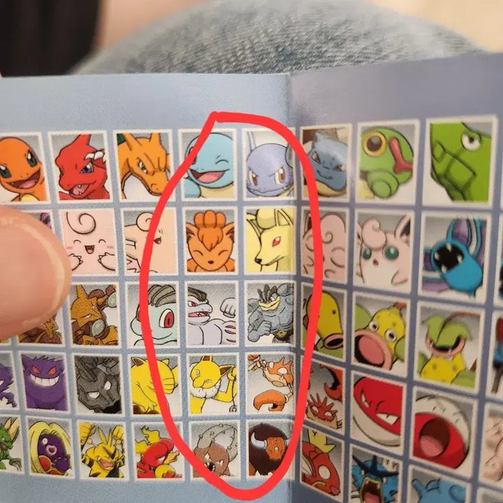 [BUNJANG] Pokemon ID Photo Set 3 - Squirtle &amp; Wartortle Line Bundle / 포켓몬 증명사진 3탄 꼬부기, 어니부기 라인 일괄