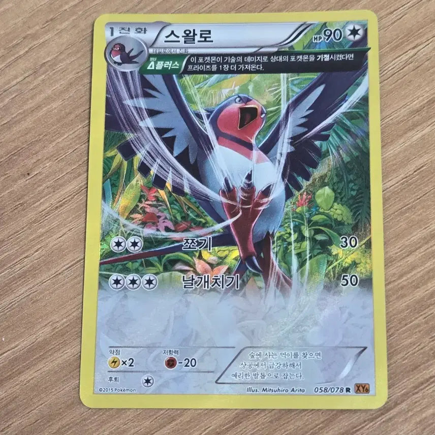 [BUNJANG] Pokemon Card Swampert / 포켓몬카드 스왈로