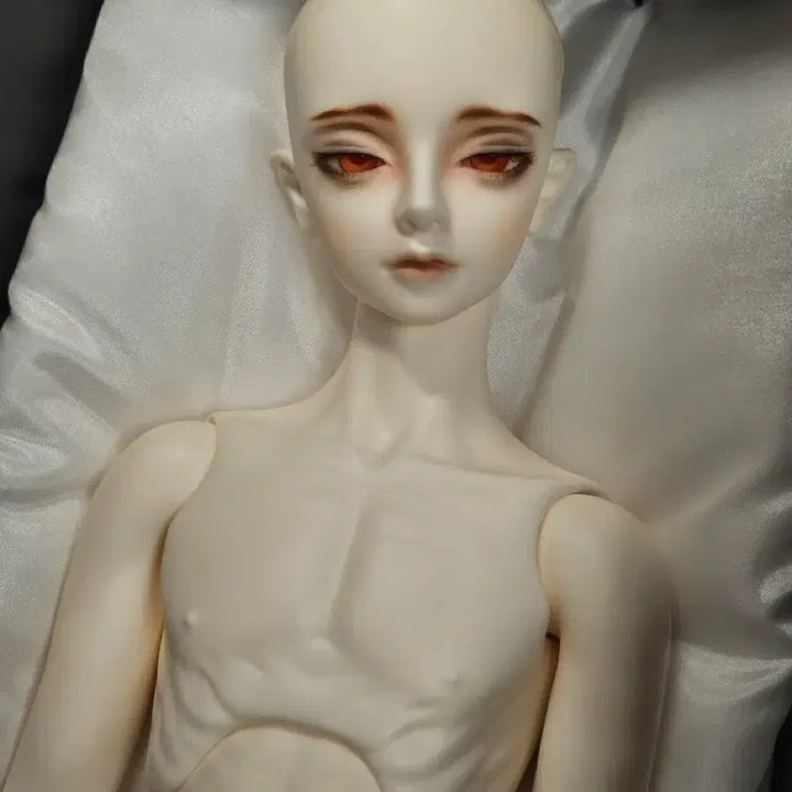 [BUNJANG] Little Monica Cliff White 17 Size Doll / 리틀모니카 클리프 미백 판매(17세바디)