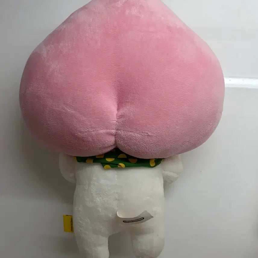 [BUNJANG] Kakao Friends Apeach Official Plush Doll / 카카오프렌즈 어피치 정품인형
